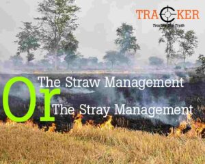 THE STRAW MANAGEMENT OR THE STRAY MANAGEMENT
